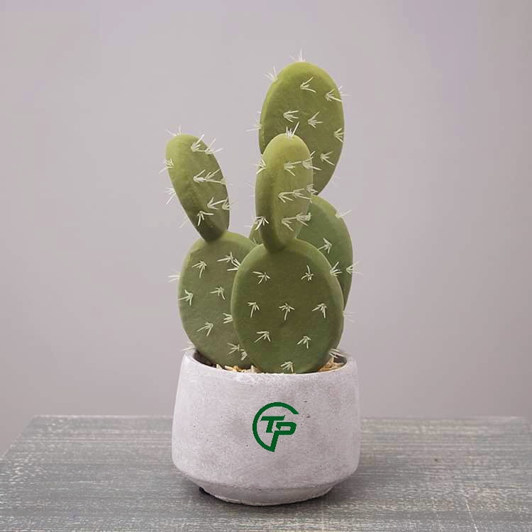 Cây Xương rồng giả 18 Cây xương rồng giả các loại - Thiên Phát Decor 1