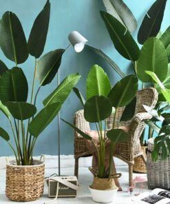 Cây chuối cảnh giả tranh trí cao cấp - Thiên Phát Decor