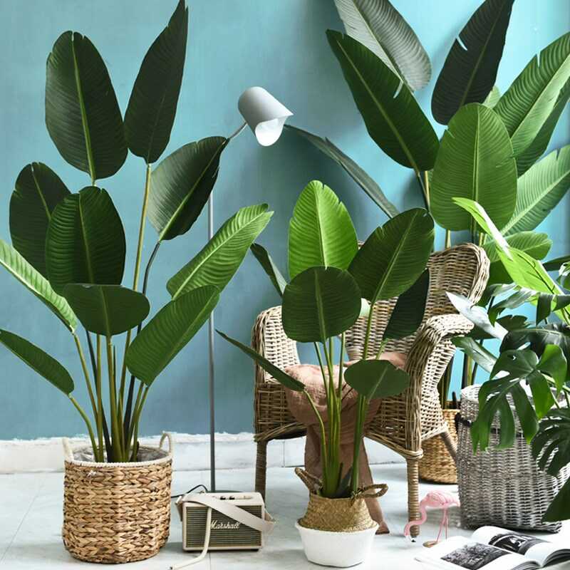 Cây chuối cảnh giả tranh trí cao cấp - Thiên Phát Decor