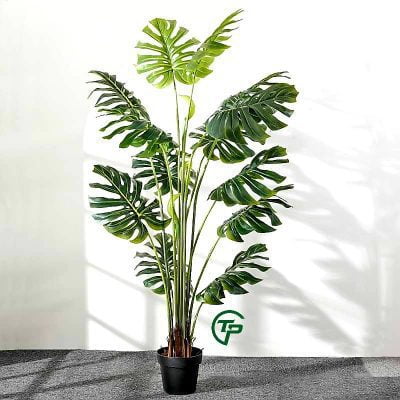 cay gia trang tri cao cap Shop Thien Phat Decor 12