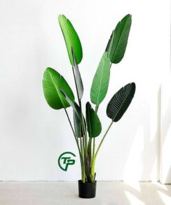 Cây chuối cảnh giả cao cấp - Thiên Phát Decor