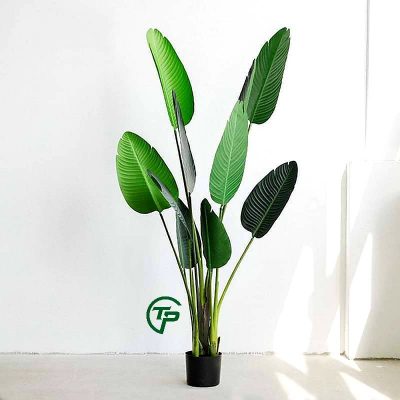 Cây chuối cảnh giả cao cấp - Thiên Phát Decor