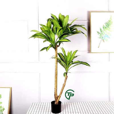 cay gia trang tri cao cap Shop Thien Phat Decor 4