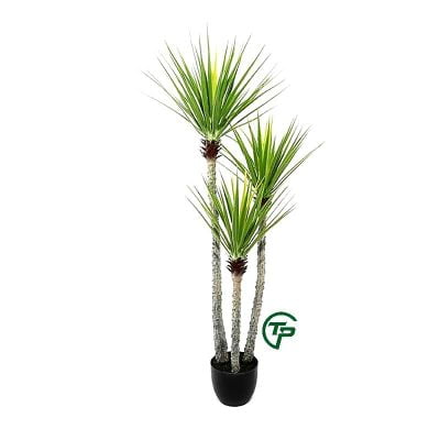 cay gia trang tri cao cap Shop Thien Phat Decor 5