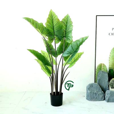 cay gia trang tri cao cap Shop Thien Phat Decor 9