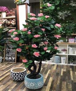 Chậu cây hoa hồng giả - Thiên Phát Decor 2