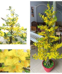 Cây mai giả trang trí ngày Tết mang tài lộc cho gia chủ - Thiên Phát Decor