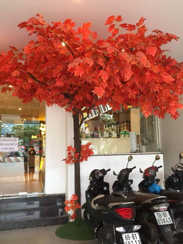 Cây phong giả trang trí đẹp như thật ngoài trời - Thiên Phát Decor
