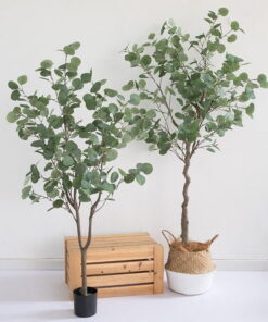 Chậu Cây si giả trang trí cao cấp chất lượng như thật - Thiên Phát Decor