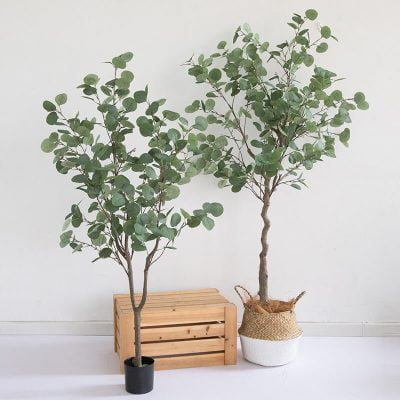 Chậu Cây si giả trang trí cao cấp chất lượng như thật - Thiên Phát Decor