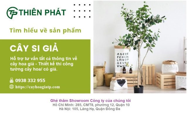 Cây si giả trang trí nội thất đẹp như thật - Thiên Phát Decor