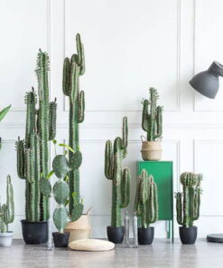Cây Xương rồng giả 17 Cây xương rồng giả trang trí không gian xanh - Thiên Phát Decor