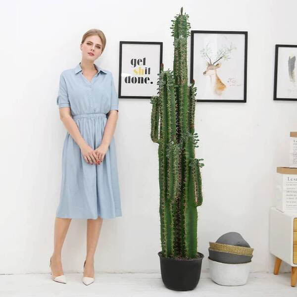 Cây xương rồng giả trang trí không tốn công chăm sóc - Thiên Phát Decor Cây xương rồng giả trang trí không tốn công chăm sóc - Thiên Phát Decor