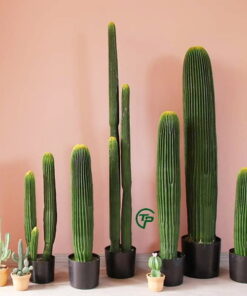 Cây Xương rồng giả 15 cay xuong rong gia dep nhu that Thien Phat decor 7