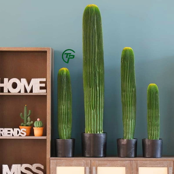 Cây xương rồng giả mang lại may mắn cho gia chủ - Thiên Phát Decor Cây xương rồng giả mang lại may mắn cho gia chủ - Thiên Phát Decor