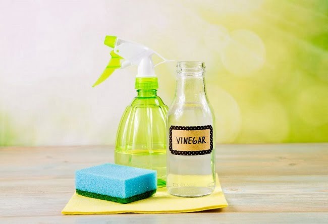 Chăm sóc cây hoa giả bằng giấm - làm sạch hoa lụa giả không khác gì đồ mới