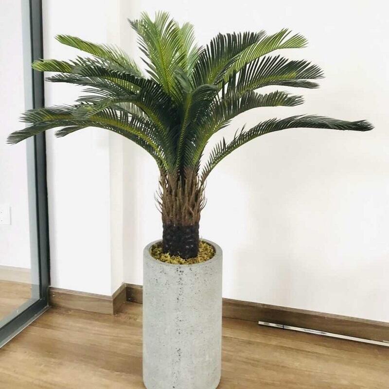 Cây Vạn tuế giả trang trí - Thiên Phát Decor 4