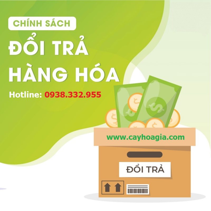 Chính sách đổi trả hàng hoá - Thiên Phát Decor