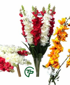Hoa Phi Yến biểu tượng của tình yêu tinh khôi - Thiên Phát Decor cover