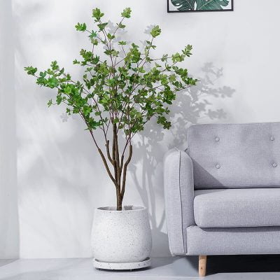 Cây si giả cao cấp chất lượng như thật - trang trí phòng khách - Thiên Phát Decor cover