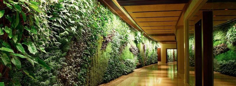 Thi công tường cỏ giả - Cỏ nhân tạo Trang trí Thiên Phát - banner