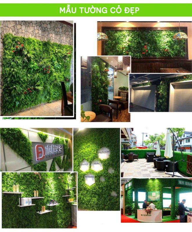 Thi công tường cây cỏ giả trang trí - Thiên Phát Decor